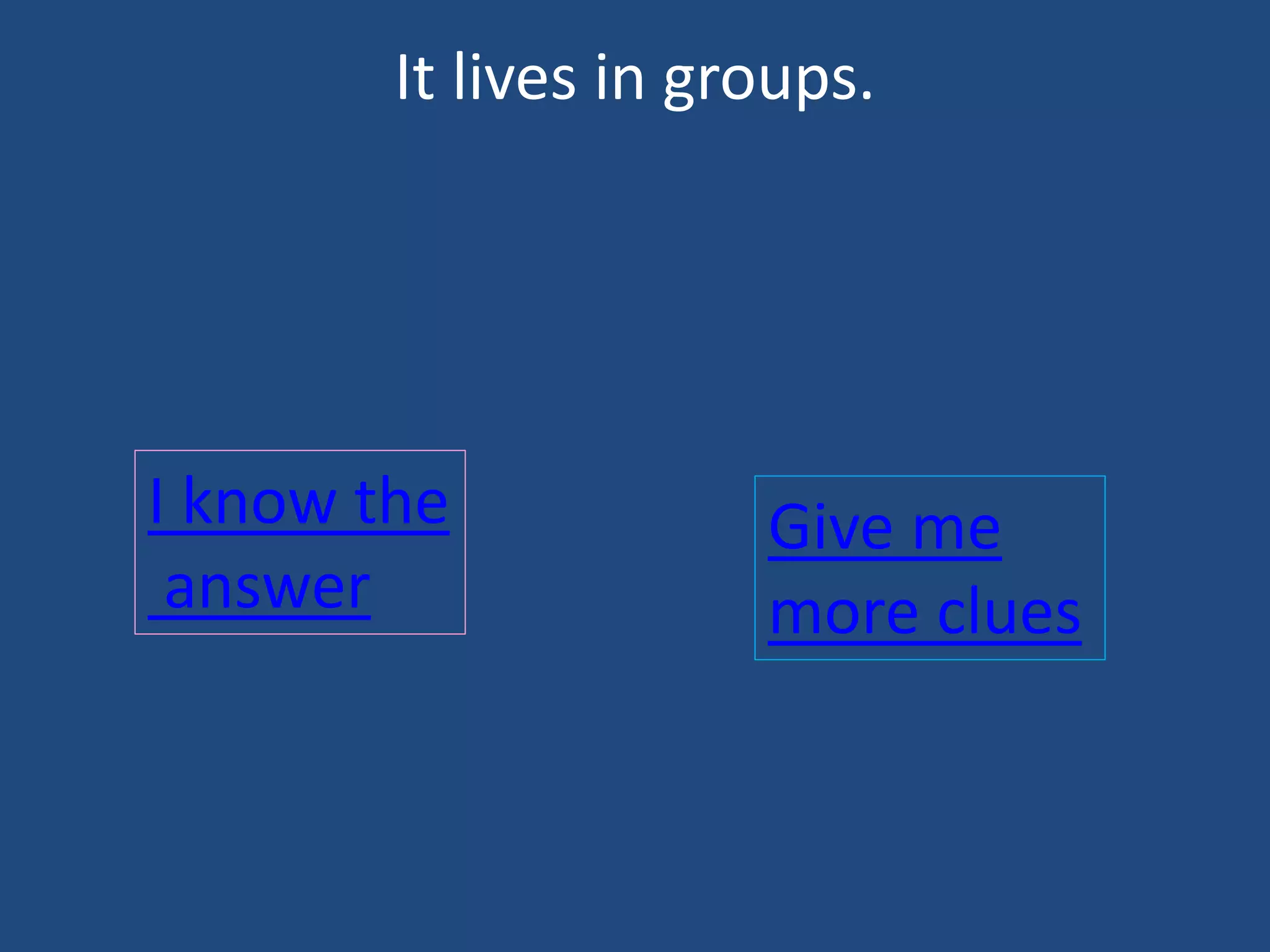 It lives in groups.
I know the
answer
Give me
more clues
 