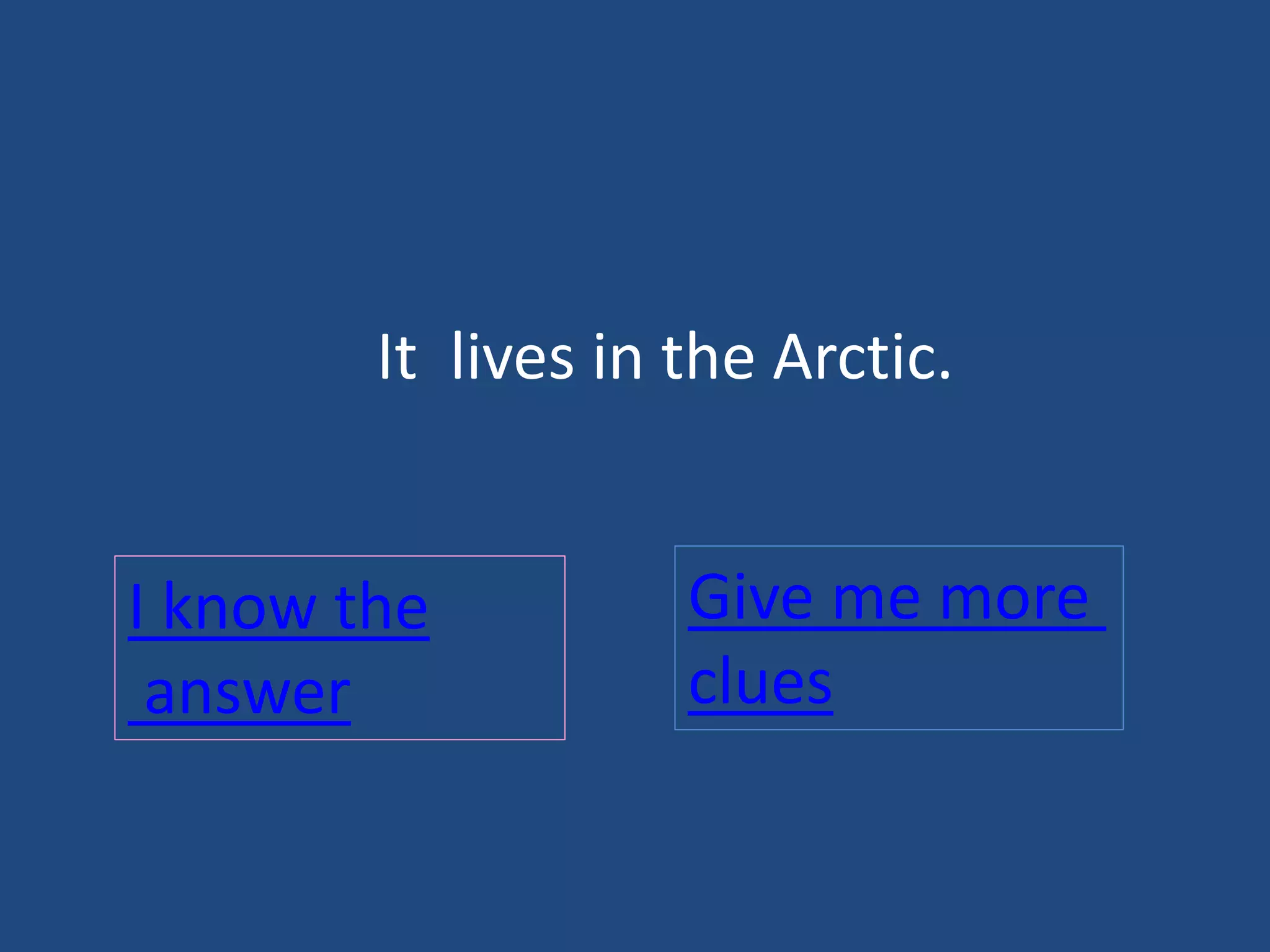 It lives in the Arctic.
I know the
answer
Give me more
clues
 