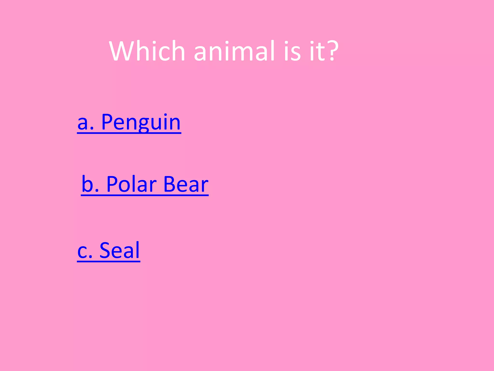 Which animal is it?
a. Penguin
c. Seal
b. Polar Bear
 