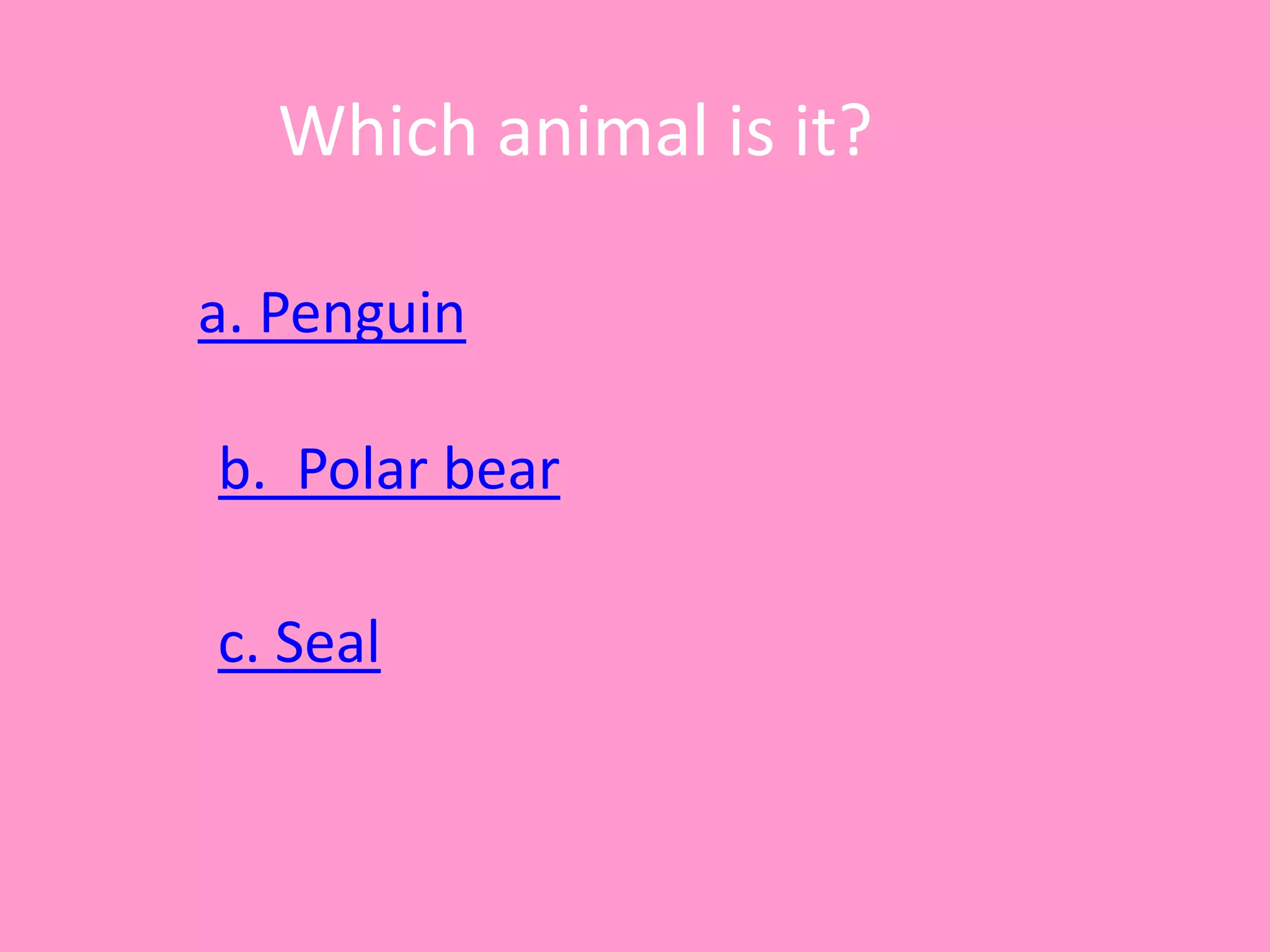Which animal is it?
a. Penguin
c. Seal
b. Polar bear
 
