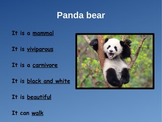 Panda bear
It is a mammal
It is viviparous
It is a carnivore
It is black and white
It is beautiful
It can walk
 