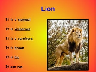 Lion
It is a mammal
It is viviparous
It is a carnivore
It is brown
It is big
It can run
 