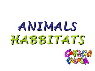 ANIMALS   HABBITATS 