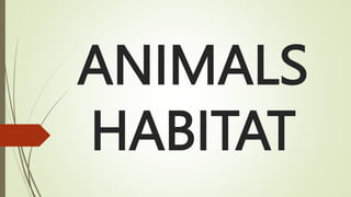 ANIMALS
HABITAT
 