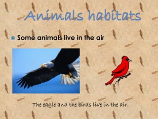  Some animals live in the air 
The eagle and the birds live in the air. 
 