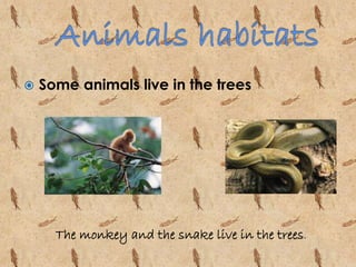  Some animals live in the trees 
The monkey and the snake live in the trees. 
 
