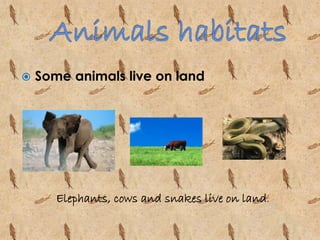  Some animals live on land 
Elephants, cows and snakes live on land. 
