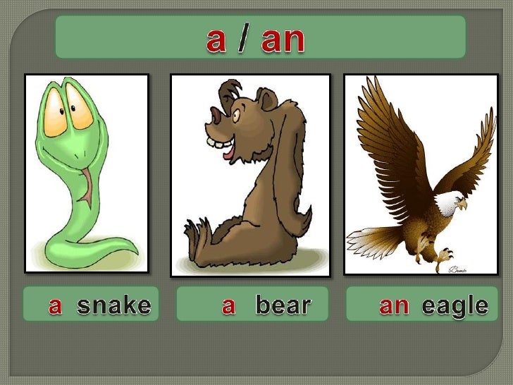 animal skat verb tenses animal skat verb tenses