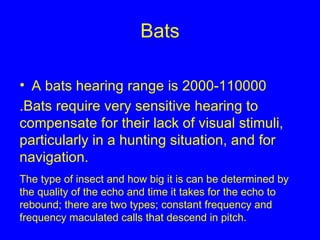 Bats A bats hearing range is 2000-110000 .Bats require very sensitive hearing to compensate for their lack of visual stimuli, particularly in a hunting situation, and for navigation.  The type of insect and how big it is can be determined by the quality of the echo and time it takes for the echo to rebound; there are two types; constant frequency and frequency maculated calls that descend in pitch. 