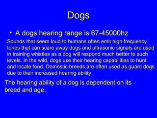 Dogs A dogs hearing range is 67-45000hz The hearing ability of a dog is dependent on its breed and age.   Sounds that seem loud to humans often emit high frequency tones that can scare away dogs and ultrasonic signals are used in training whistles as a dog will respond much better to such levels. In the wild, dogs use their hearing capabilities to hunt and locate food. Domestic breeds are often used as guard dogs due to their increased hearing ability  