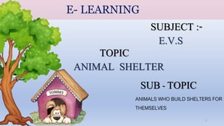 E- LEARNING
ANIMAL SHELTER
E.V.S
ANIMALS WHO BUILD SHELTERS FOR
THEMSELVES
SUBJECT :-
TOPIC
SUB- TOPIC
1
 