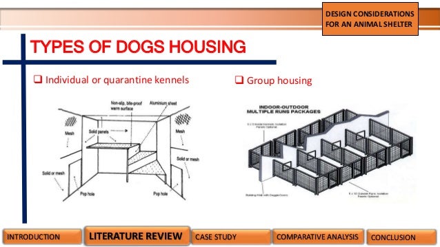 Animal Shelter Space Requirements