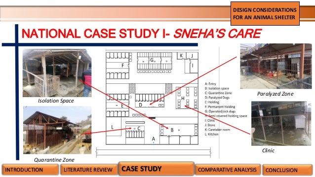Animal Shelter Space Requirements