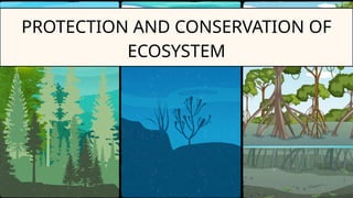 Protecting Swmps Comprehensive Strategies for Protecting and Conserving Tropical ...