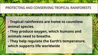 Protecting Swmps Comprehensive Strategies for Protecting and Conserving Tropical ...