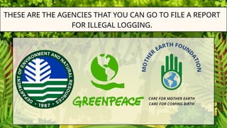 Protecting Swmps Comprehensive Strategies for Protecting and Conserving Tropical ...