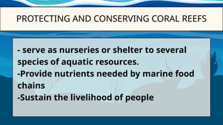 Protecting Swmps Comprehensive Strategies for Protecting and Conserving Tropical ...
