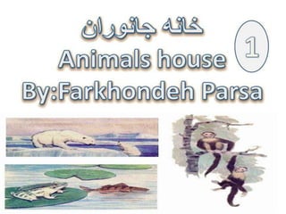 Animals house1 5