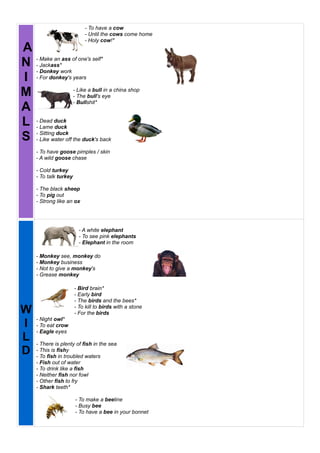 English Expressions with Animals