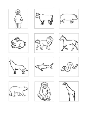 Animals i ecosistemes