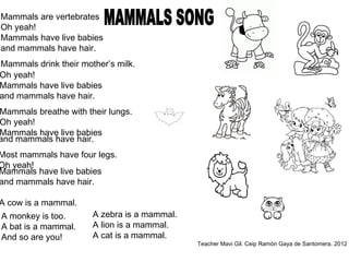 Mammals are vertebrates
Oh yeah!
Mammals have live babies
and mammals have hair.
Mammals drink their mother’s milk.
Oh yeah!
Mammals have live babies
and mammals have hair.
Mammals breathe with their lungs.
Oh yeah!
Mammals have live babies
and mammals have hair.
Most mammals have four legs.
Oh yeah!
Mammals have live babies
and mammals have hair.
A cow is a mammal.
A monkey is too. A zebra is a mammal.
A bat is a mammal. A lion is a mammal.
And so are you! A cat is a mammal.
Teacher Mavi Gil. Ceip Ramón Gaya de Santomera. 2012