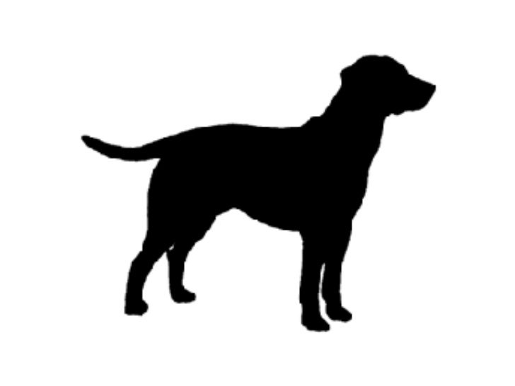 animal silhouettes counting animal silhouettes counting