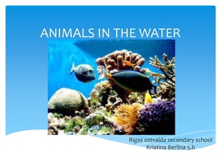 ANIMALS IN THE WATER

Rigas ostvalda secondary school
Kriatina Berlina 5.b

 