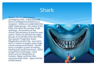 Shark
Sharks, the so-called oceanic
cartilaginous fish , unlike bony fish
have a cartilaginous skeleton as a
sturgeon . Sharks are subdivided into
eight major groups - the shape of the
body, the head, the number of gill
openings , the position of the
mouth, the presence of anal fins and
spines. These are divided into eight
groups of 34 families and more than
350 species. Progenitor shark Megalodon ancient fish - was more
than 12 meters in length, had a huge
mouth and powerful teeth . Sharks
have a complex system of mating ,
feeding and social interaction , and if
escape from mythology , most
sharks are not dangerous to
humans. Major countries that
consume shark meat - Japan and the
United States .

 