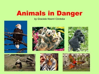 Animals in Danger by Graciela Noemí Córdoba 