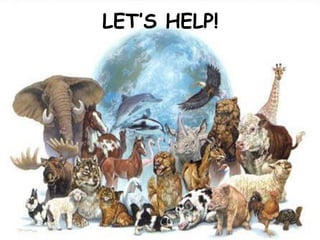 LET’S HELP! 