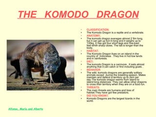 THE   KOMODO   DRAGON CLASSIFICATION: The Komodo Dragon is a reptile and a vertebrate.  ANATOMY: The komodo dragon averages almost 2´8m long, but it can get up to3 m long and it weighs up to 135kg. It has got four short legs and five-toed feet whith sharp clows. The tail is longer than the body. HABITAT: The Komodo Dragon lives on an island in the country of  Indonesia . They live in hot low lands and in rainforests.  DIET: The komodo Dragon is a carnivore . It eats almost anything that it can catch or find including goats .  BEHAVIOR The wild, komodo dragons are generally solitary animals except  during the breeding season. Males maintain and defend a territory up to 2km per day.The komodo dragon swims from island to island long distances. They can allow other dragons to cross their territory when they are on a food run. THREATS: The main threats are humans and loss of habitat.They have got few predators. DID YOU KNOW?  Komodo Dragons are the largest lizards in the world.   Alfonso, María and Alberto 