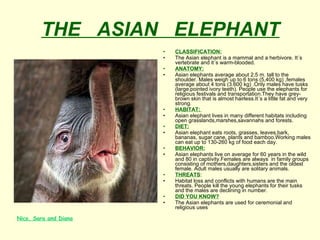 THE   ASIAN   ELEPHANT CLASSIFICATION: The Asian elephant is a mammal and a herbivore. It´s vertebrate and it´s warm-blooded. ANATOMY: Asian elephants average about 2,5 m. tall to the shoulder. Males weigh up to 6 tons (5,400 kg) ,females average about 4 tons (3.600 kg) .Only males have tusks (large,pointed ivory teeth). People use the elephants for religious festivals and transportation.They have grey-brown skin that is almost hairless.It´s a little fat and very strong. HABITAT:  Asian elephant lives in many different habitats including open grasslands,marshes,savannahs and forests. DIET: Asian elephant eats roots, grasses, leaves,bark, bananas, sugar cane, plants and bamboo.Working males can eat up to 130-260 kg of food each day. BEHAVIOR: Asian elephants live on average for 60 years in the wild and 80 in captiivity.Females are always  in family groups consisting of mothers,daughters,sisters and the oldest female.  Adult males usually are solitary animals. THREATS : Habitat loss and conflicts with humans are the main threats. People kill the young elephants for their tusks and the males are declining in number. DID YOU KNOW? The Asian elephants are used for ceremonial and religious uses  Nico, Sara and Diana 