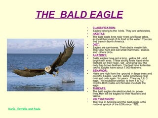 THE  BALD EAGLE CLASSIFICATION: Eagles belong to the  birds. They are vertebrates. HABITAT: The bald eagle lives near rivers and large lakes, as it catches most of its food in the water. You can find them in North America. DIET: Eagles are carnivores. Their diet is mostly fish . They also hunt and eat small mammals , snakes and  others birds. ANATOMY: Balds eagles have got a long , yellow bill , and large keen eyes. These strong flyers have white feathers on their head , tail , and wing tips.The body has brown feathers .The feet have knife-like talons .Eagles have about 7.000 feathers. BEHAVIOR: Nests are high from the  ground  in large trees and on cliffs .Eagles  use the  same enormous nest over and over again  for years . They lay 1 to 3 eggs.The incubation period  is from 1 to 1/2 months.Both males and females incubate the eggs. THREATS: The bald eagles die electrocuted on  power lines.Men kill the eagles for their feathers and talons.  DID YOU KNOW? They live in America and the bald eagle is the national symbol of the USA since 1782.   Darío, Estrella and Paula 