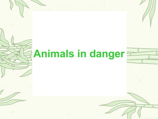 Animals in danger
 