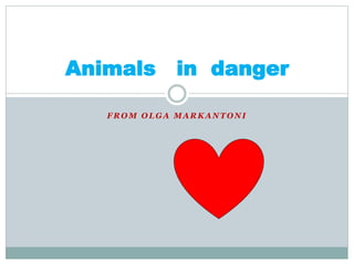 F R O M O L G A M A R K A N T O N I
Animals in danger
 
