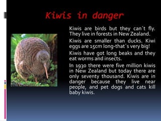 Kiwis in danger	Kiwis are birdsbuttheycan´tfly. Theylive in forests in New Zealand.	Kiwis are smallerthanducks. Kiwi eggs are 15cm long-that´sverybig!Kiwis havegotlongbeaks and theyeatworms and insects.In 1930 therewerefivemillion kiwis in New Zealandbuttodaythere are onlyseventythousand. Kiwis are in dangerbecausetheylivenearpeople, and petdogs and catskillbaby kiwis.