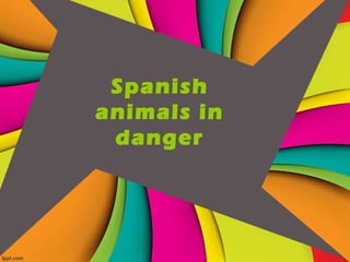 Spanish
animals in
 danger
 