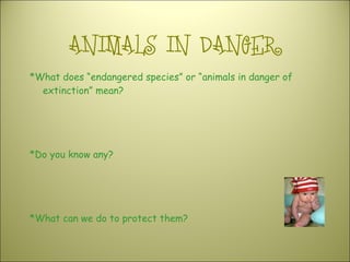 ANIMALS IN DANGER ,[object Object],[object Object],[object Object]