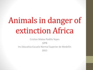 Animals in danger of
extinction Africa
Cristian Mateo Padilla Yepes
10ºB
Ins Educativa Escuela Normal Superior de Medellín
2015
 