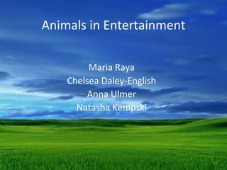 Animals in Entertainment

         Maria Raya
    Chelsea Daley-English
         Anna Ulmer
      Natasha Kempski
 