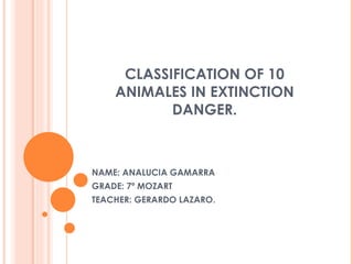 CLASSIFICATION OF 10 ANIMALES IN EXTINCTION DANGER. NAME: ANALUCIA GAMARRA GRADE: 7º MOZART TEACHER: GERARDO LAZARO. 