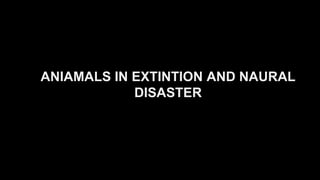 ANIAMALS IN EXTINTION AND NAURAL
DISASTER
 