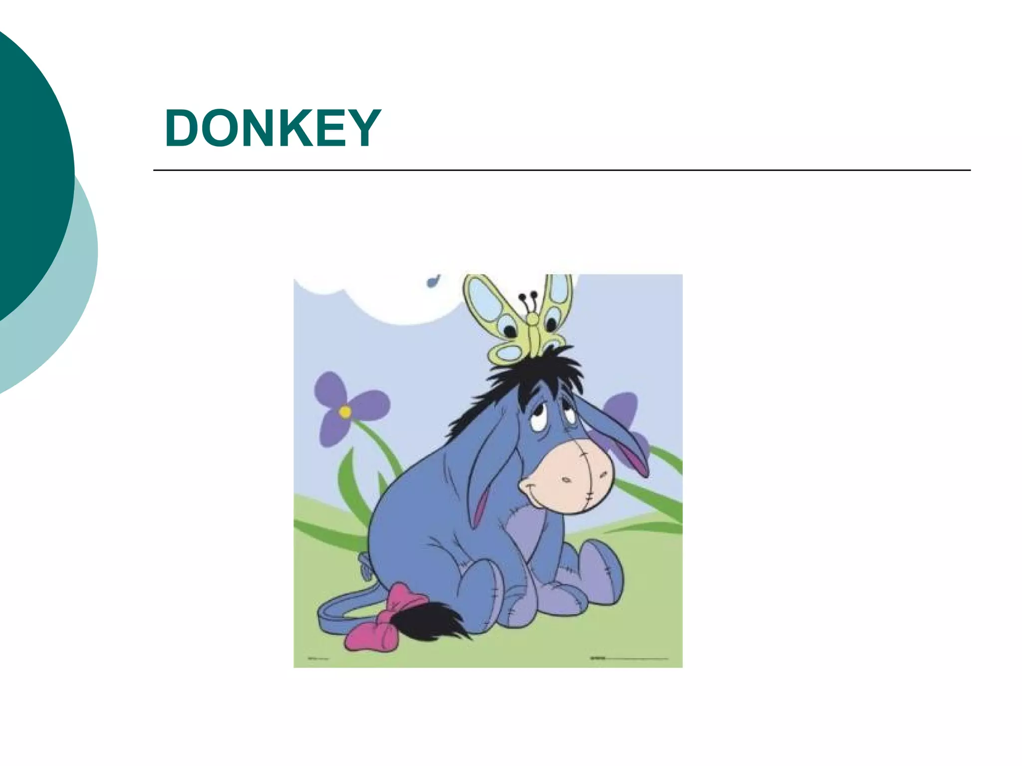 DONKEY 
