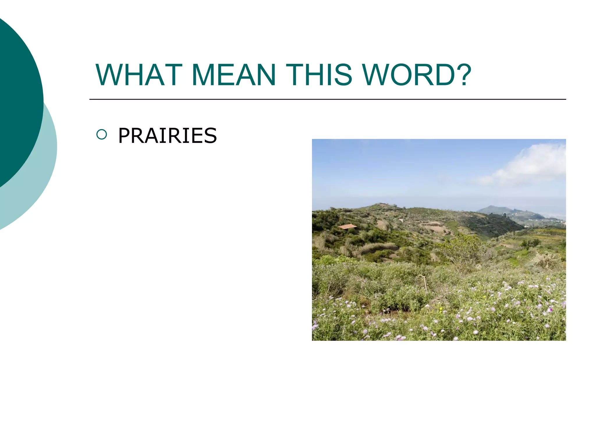 WHAT MEAN THIS WORD? PRAIRIES 