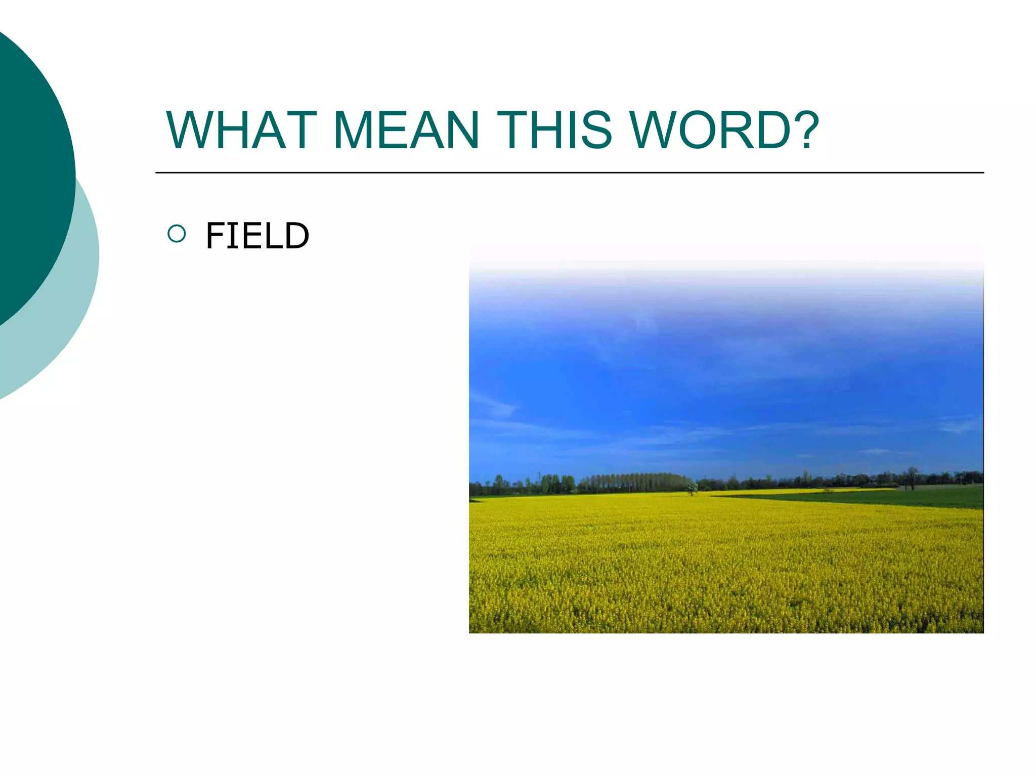 WHAT MEAN THIS WORD? FIELD 