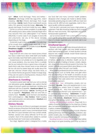 light - Allium. Acrid discharge. Thirsty and restless –
Arsenicum. Discharge whitish like egg-white. violent
sneezing – Nat Mur. Chronic discharge, thick, tough
and stringy – Kali Bic. Septic throat, bad breath excess
saliva, thin, greenish nasal discharge – Mercurius. Thin
grayish discharge. Crusts form inside the nose – Silica.
Cat flu is a common winter complaint. It usually begins
with sneezing and a clear, watery nasal discharge which
may become thick and yellow/green if not treated
effectively. In some cases it can progress to bronchitis
and pneumonia. Use any of the above remedies
depending on the stage.
For kennel cough in dogs use Aconite in the early stag-
es for a rough, loud, barking cough, especially at night.
Then later, other remedies to consider include Bryonia,
Phosphorus, Drosera and Ant Tart.
Dental Health
Dogs and cats who chew raw meaty bones at least
four days a week have clean white teeth and healthy
gums and rarely need their teeth scaled or removed.
Cooked bone is not suitable as it is not digestible and
can cause problems. Any raw bone that is a suitable
size for your animal to have a good chew at (ie get its
teeth into!) is safe. Raw chicken necks or raw white bait
fish for cats and toy breed dogs are usually about the
right size, and raw chicken wings, raw lamb necks, or
raw chicken frames are good for medium to large dogs.
If they are not used to chewing bones, introduce them
gradually over about a month.
Diarrhoea & Vomiting
If symptoms persist seek help from your vet as animals
can dehydrate quickly. Aconite is very useful in the first
stages of stomach upsets and diarrhoea. Vomiting and
diarrhoea with loss of appetite - Arsenicum Album. Per-
sistent vomiting and nausea - Ipecac. Vomiting yet still
has an appetite – Phosphorus. After rich and fatty or
creamy food - Pulsatilla. Upset stomach and bloating
from overindulgence – Nux Vomica. Violent purging
with rapid exhaustion and dehydration – Veratrum and
seek veterinary advice.
Dietary Needs
Dogs and cats do not thrive on packaged, processed
foodoranexcessoffoodfromthefamilytable.Meatand
poultry byproducts used in many commercial pet foods
are often of a poor standard and may contain entrails,
feathers, sawdust and various leftovers not fit for con-
sumption. Most of the preservatives added to canned
and dry foods don’t even bear contemplating.
Your dogs’ digestive system is designed for a mainly
raw food diet and many common health problems
disappear when changes are made to dietary intake.
Generally speaking dogs do well on 60% raw meat and
bones and 30- 40% fruit and vegetables. Add to this a
good quality nutritional supplement.
Cats are strict carnivores and have a high protein re-
quirement. Their diet should be totally raw and consist of
90% raw meat and bones, 10% vegetables and a nutri-
tional powder supplement.
Just as humans benefit from a short period of fasting
and a gentle spring detox our pets also thrive on a few
days of a simple vegetable juice and broth diet to rest
the digestive organs.
Emotional Upsets
Domestic animals usually make strong emotional con-
nections with their owners and may exhibit problems
when their home life is upset. In these situations animals
respond very well to carefully chosen flower essences
and homoeopathics.
Problems may develop after a change involving a loss
of territory, relationship or attention. Health can be af-
fected by recurrent feelings of tension, anxiety, depres-
sion, anger and other emotional upsets in the home. The
owner’s attitude and expectations about illness or a dis-
turbance may affect the pet’s own health.
When seeking professional advice mention other con-
tributing factors such as family stress and grief which
may be impacting on the health or emotions of your
pet. If your practitioner does not think that these factors
are important then seek advice from someone with a
more holistic approach.
Anxiety and fear: Anticipatory anxiety and ex-
citement - Aconite. Fear and apprehension is com-
mon before any ordeal. Fears of heights, crowds,
closed spaces etc. May have diarrhoea – Argent
Nit. Emotional excitement and apprehension – qui-
et, subdued and trembling - Gelsemium. A height-
ened state of anxiety and restlessness especially in
fussy, chilly animals – Arsenicum. Nervous animals to
strengthen the nervous system – Kali Phos.
Barking and behavioural problems: Dogs bark for a
variety of reasons. Some bark for the sheer joy of being
alive, but persistent barking often indicates that there is
a serious underlying problem.
Some common reasons for barking include: Attention
seeking behaviour, territorial aggression, boredom, sep-
aration anxiety, play. Consider a flower essence combi-
nation or specific homoeopathic remedy.
Boarding Kennels or Home Alone: A few days before
your dog or cat goes boarding, give a top up dose of
 