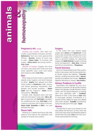 animals
homoeopathy
&
Pregnancy etc. [contd]
Feeding and mastitis: Teat area hot,
swollen, pupils dilated, full pulse, excited -
Belladonna. Teat very hard, general limb
stiffness - Bryonia. Averse to touch due
to pain - Hepar Sulph. To increase milk
supply – Urtica Urens. Recurring mastitis –
Calc Carb.
Ailments of Puppies: Puppies who have
not had a very good start to life and have
weak appetites, poor coats and rickety
joints respond well to Calc Phos.
Skin
When dogs and cats scratch a great deal
despite every hygienic and local measure
try either Sulphur (hot, greedy and often
rather smelly) or Arsenicum (chilly, nervous
and always grooming themselves). Boils,
pimples and pus-like eruptions – Hepar
Sulph. Hair loss, ringworm – Sepia. Acute,
wet eczema – Rhus Tox.
Pustules, boils, diseased claws and deli-
cate skin that doesn’t heal well – Silica. Sili-
ca in conjunction with Kali Sulph is excellent
for conditioning the coat. Kali Sulph is indi-
cated for sore paws with scaling of the skin.
Hepar Sulph, Graphites or Silica - for cysts
between the toes.
Tissue Salts
Working at a cellular level tissue salts help
balance and improve the absorption and
uptake of minerals and nutrients.
Surgery
In the event that your animal needs
surgery give Arnica and Hypericum a few
times a day, preferably starting a day or two
before the surgery and continue for a few
days to promote healing. For abdominal
surgery add Bellis Perennis. Surgery involving
bone and ligaments – Ruta Grav. Adverse
reactions to anaesthetics - Phosphorus.
Travel Sickness
Give 2 or 3 doses before travel. If the usual re-
action is very severe, start the day before trav-
el. Severe nausea and dizziness - Cocculus.
Nausea, vomiting and excess saliva – Ipecac.
Nausea and dizziness from fumes - Petroleum.
Digestive disturbance, nausea – Nux Vomica.
Urinary Problems & Cystitis
Examination and diagnosis by your vet is
important as animals can die quickly of kidney
failure if the bladder is totally blocked. Classic
cystitis, with the typical frequency of passing
urine and associated pain – Cantharis.
Absence of urine, a few doses of Apis helps
to encourage urination. Incontinence in a
spayed animal, helpful for dogs who dribble
urine when excited - Pulsatilla. Incontinence
during the early part of the night – Sepia.
Worms
The best time to worm your animals is in the
days before the full moon, as this is when the
worms are more active and therefore easier to
remove from the body. Cina is the most com-
monly used remedy for worming.
 
