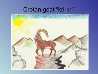 Cretan goat “kri-kri”
 