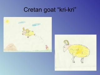 Cretan goat “kri-kri”
 