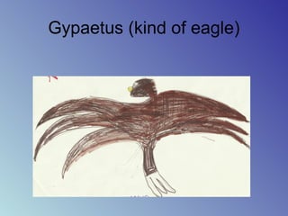 Gypaetus (kind of eagle)
 